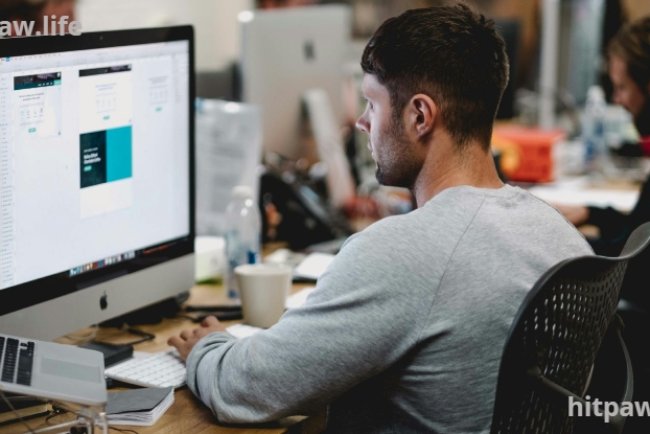 How to Set Freelance Rates