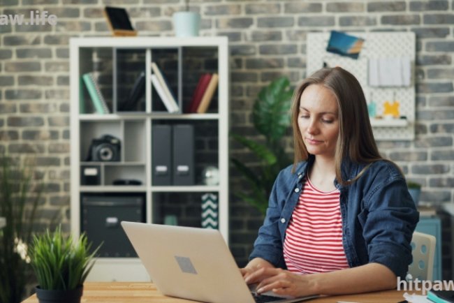 How I Landed My First Freelance Client