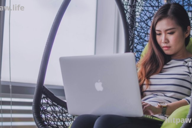 How to Choose the Right Freelance Niche