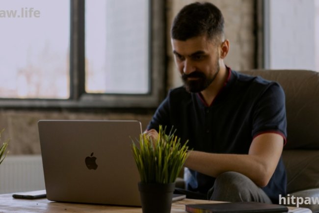 How Digital Creators Organize Their Daily Workflow