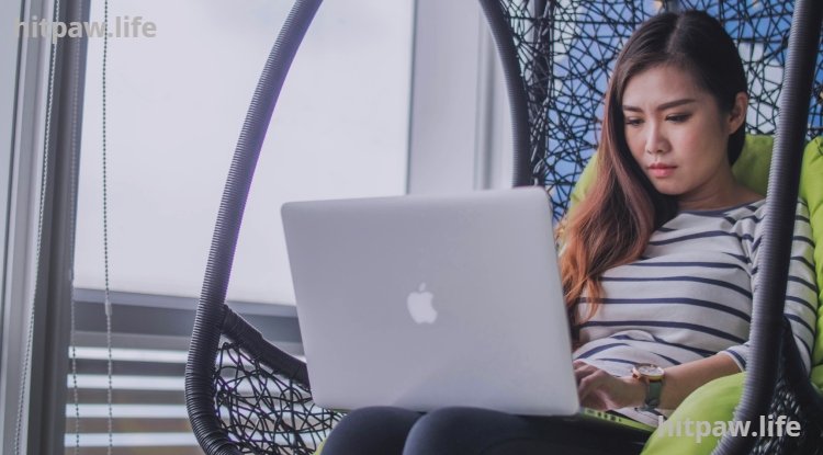 How to Choose the Right Freelance Niche