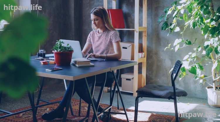 Essential Tips for Setting Up a Productive Home Workspace