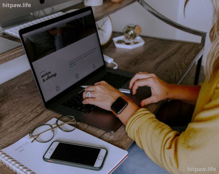 How to Find a Profitable Blogging Niche